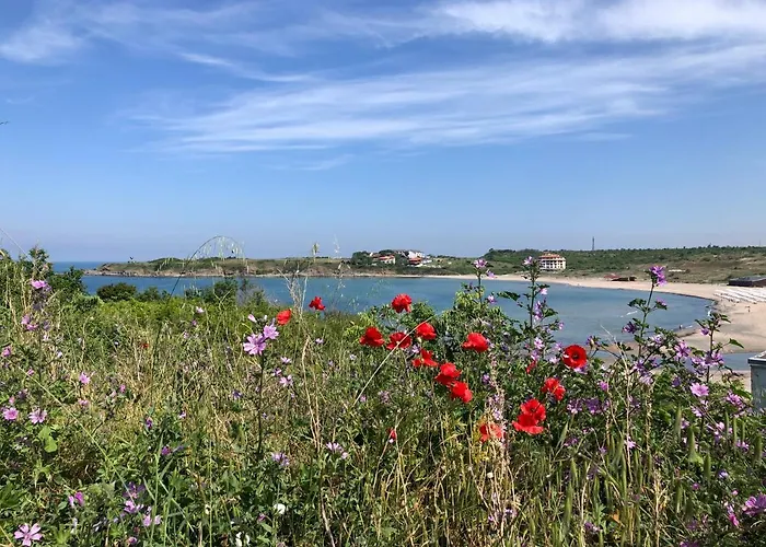 Апартамент 10